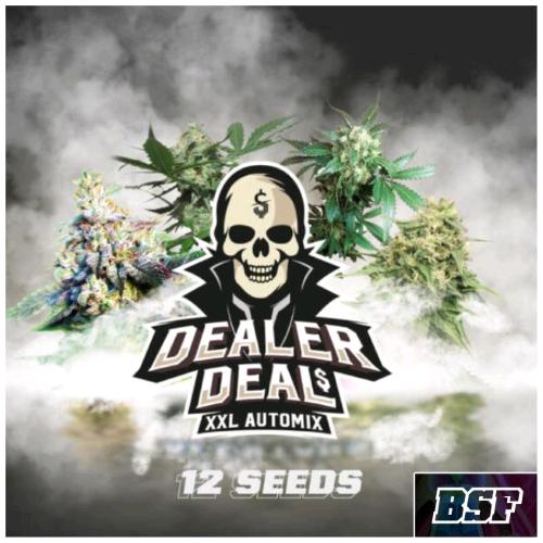 BSF - DEALER DEAL XXL AUTOMIX - PACK 12 SEMI