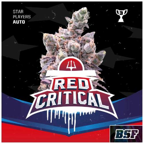BSF - RED CRITICAL AUTO - 12 SEMI