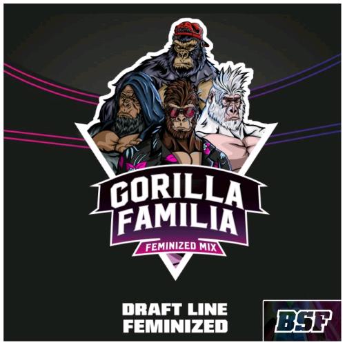 BSF - MIX GORILLA FAMILIA FEM - PACK 12 SEMI