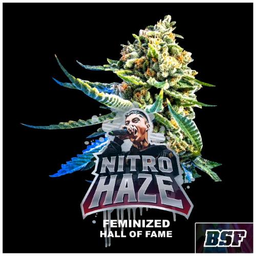 BSF - NITRO HAZE FEM - 2 SEMI