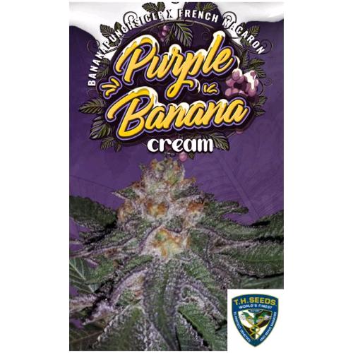 TH SEEDS - PURPLE BANANA CREAM FEM - 2 SEMI