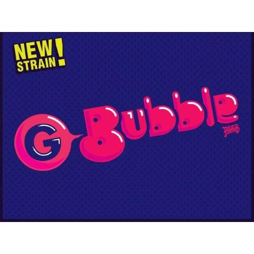 GECKO SEEDS - G BUBBLE FEM - 3 SEMI