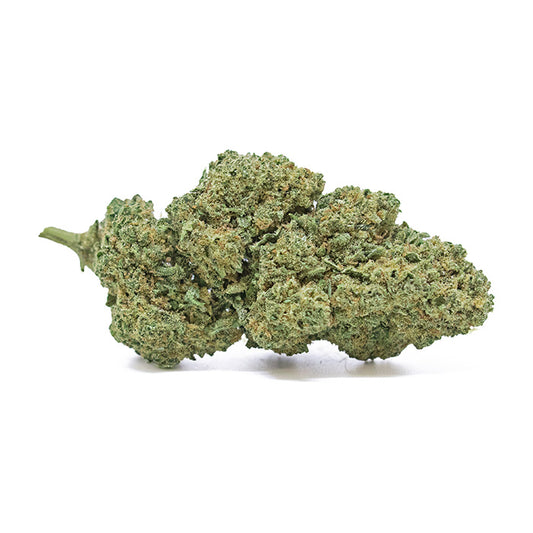 Critical Jack